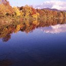 FVCW (17)-Trimpel-Helmut